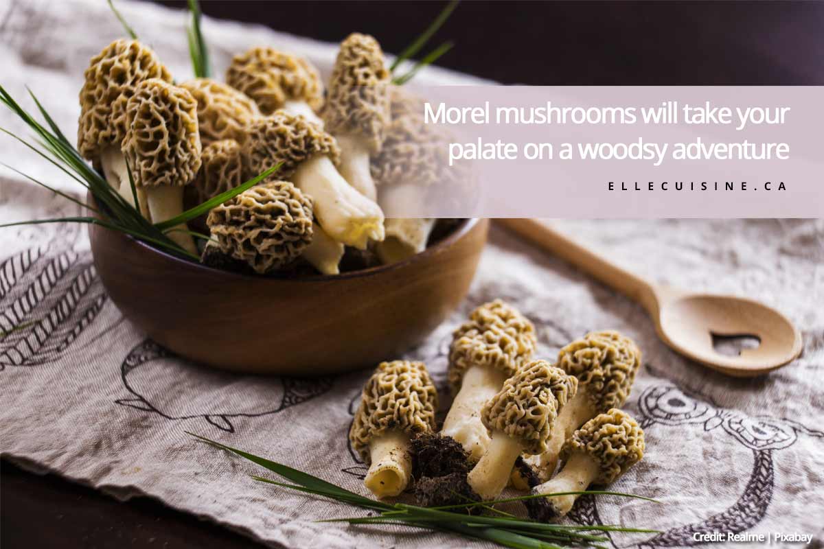 Morel mushrooms will take your palate on a woodsy adventure