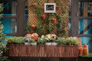 What You Need to Know About Event Rentals in Toronto